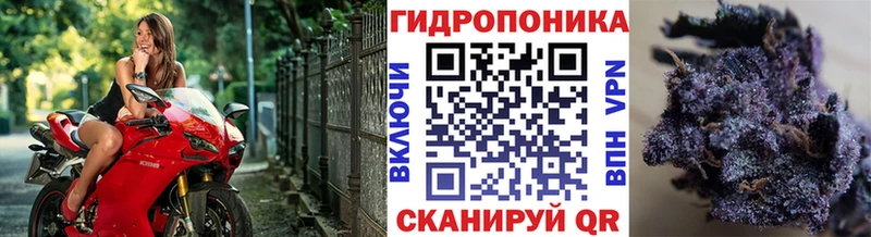 Бошки Шишки MAZAR  где купить наркотик  Калининск 